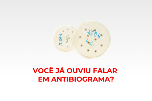 Antibiograma